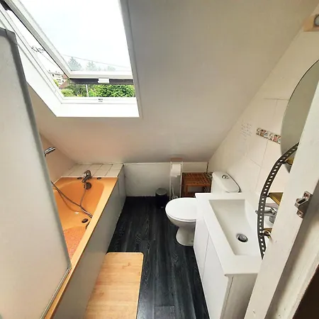 A Louer 10 Min Gare Et Centre ホームステイ